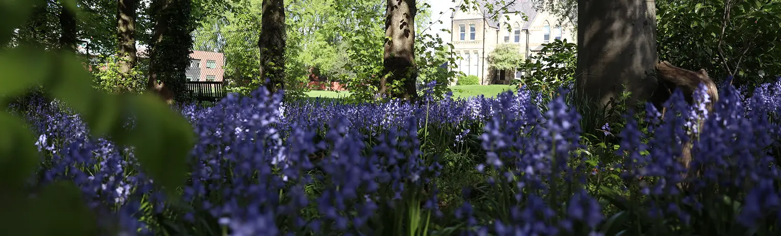 college garden